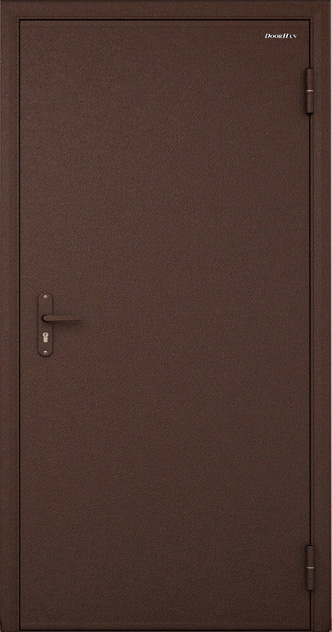 Входная дверь с порошковым покрытием и панелями - ДП 20